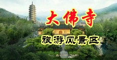 大胸美女操出水中国浙江-新昌大佛寺旅游风景区
